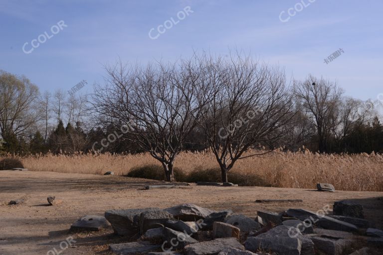 风光类：圆明园遗址公园冬季景色，天然图画景区的古建筑遗迹
