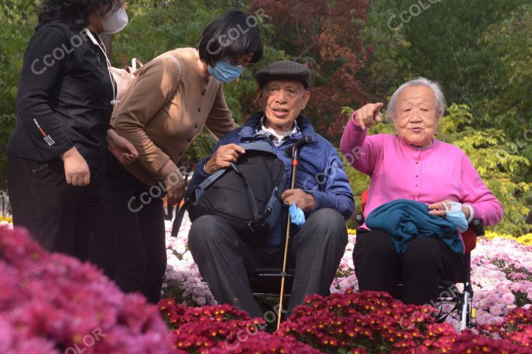 人物类：观赏菊花展的老人