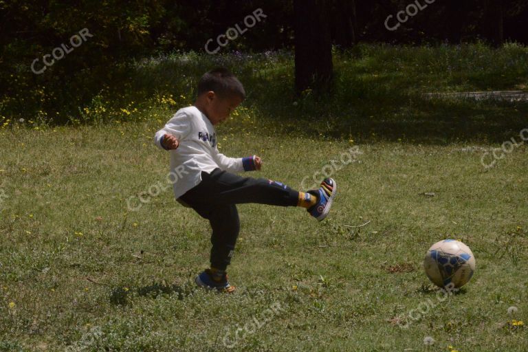 国家植物园春季场景，林区内踢足球的儿童
