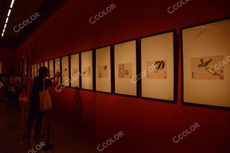 中国美术馆，建馆六十周年系列展