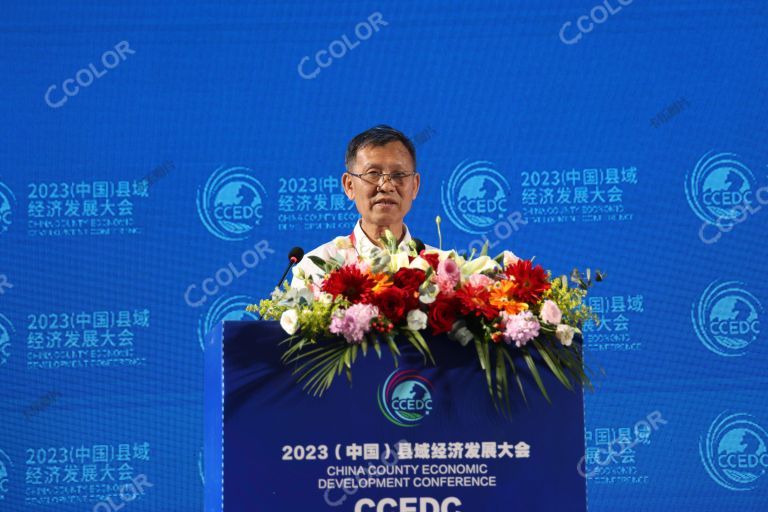  刘汉惜（南国食品集团董事长）2023中国县域经济发展大会