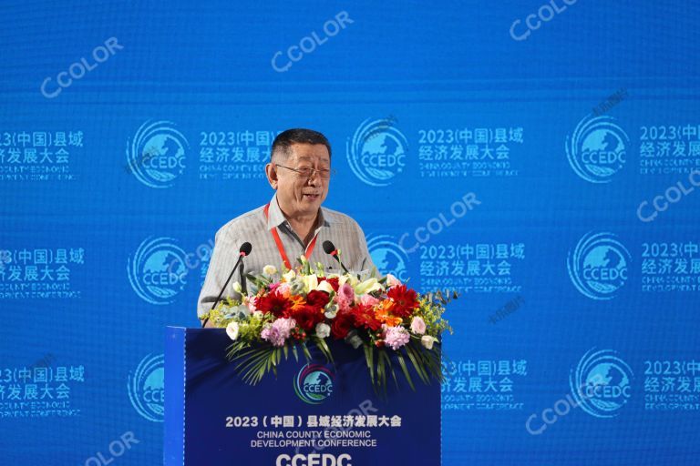 刘红路（中国亚洲经济发展协会执行会长）2023中国县域经济发展大会