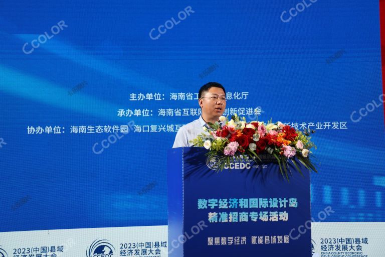 杨文龙（海南省信息和工业化厅信息产业处副处长）2023中国县域经济发展大会