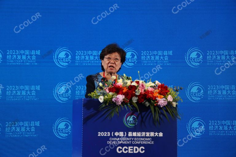  张世平（中华全国总工会原副主席）2023中国县域经济发展大会