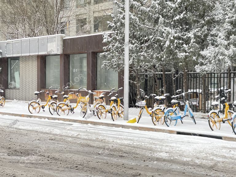 雪中的共享单车