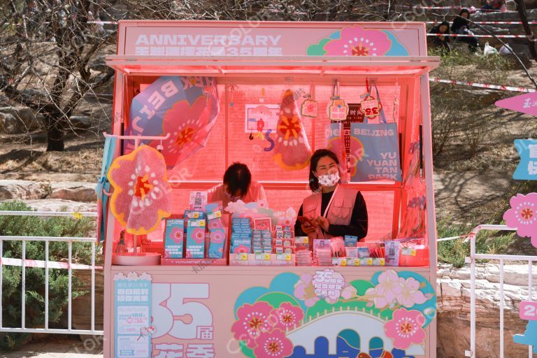 樱花甜品站