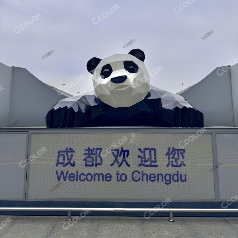 成都双流机场的大熊猫