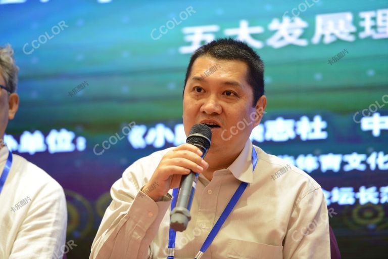 王宇 时任中国动漫游戏股权投资公司常务副总经理 2017中国（长荡湖）休闲湖泊峰会