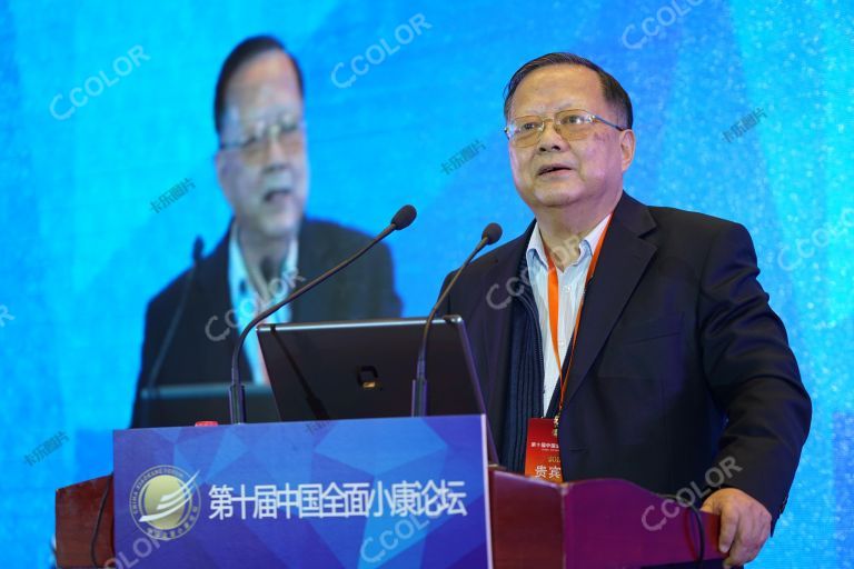 林嘉騋 时任中国扶贫开发协会执行副会长 2015中国全面小康论坛