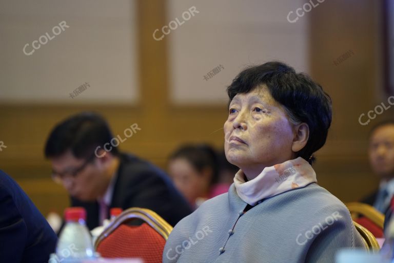 张梅颖 十一届全国政协副主席