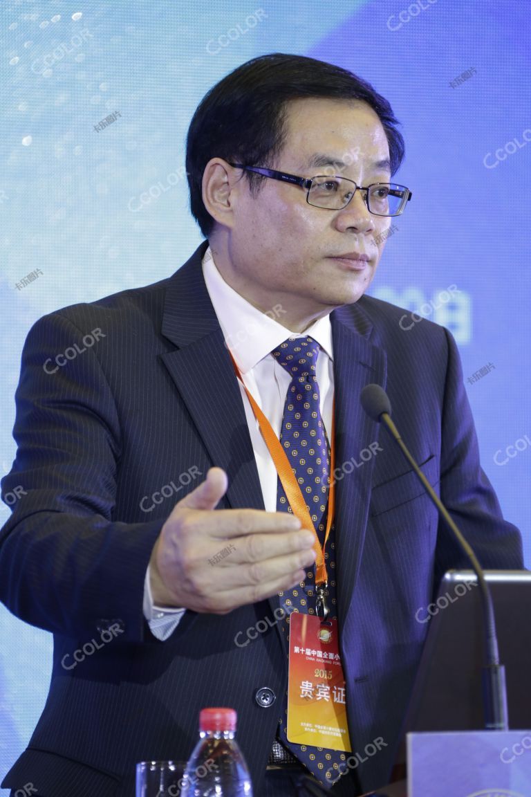 李林 时任 中国社科院学部委员、法学所所长、中国法学会副会长 2015中国全面小康论坛