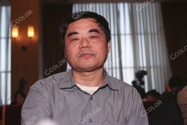 王思斌 时任北大社会学系教授，中国社会学会副会长 2006全面小康论坛
