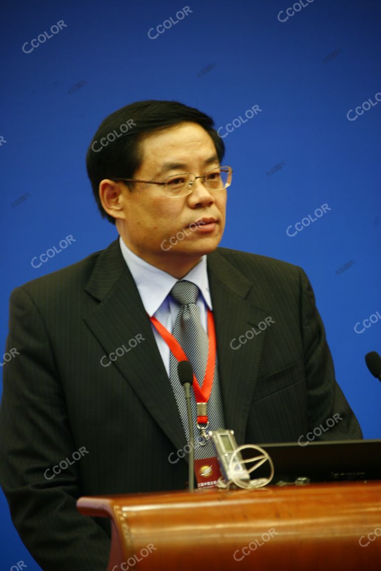 李林 时任中国社科院法学研究所所长 2008全面小康论坛