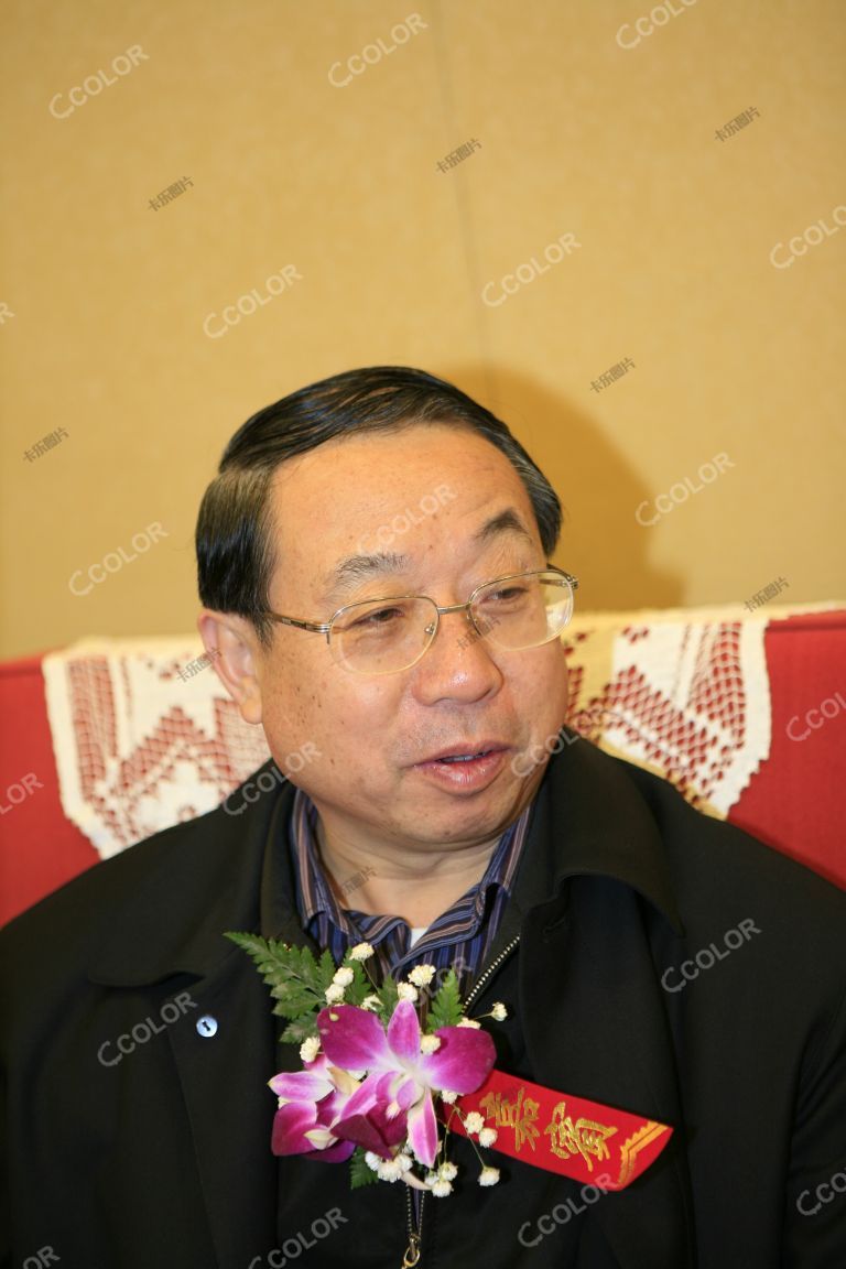 李强 时任国家统计局总统计师 2008全面小康论坛