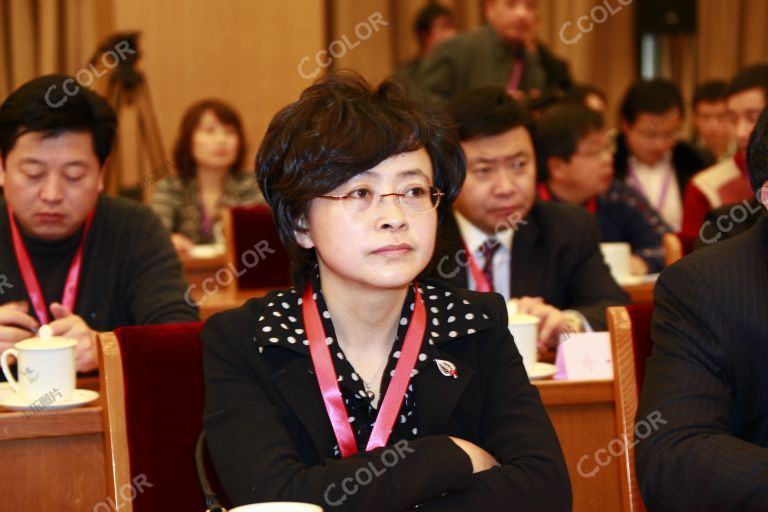 张锦 时任中共舟山市委组织部副部长 2010全面小康论坛
