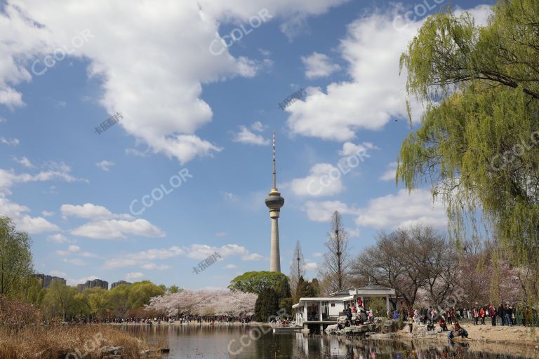 2019年樱花节期间，玉渊潭湖中的游船和蓝天映衬的央视塔
