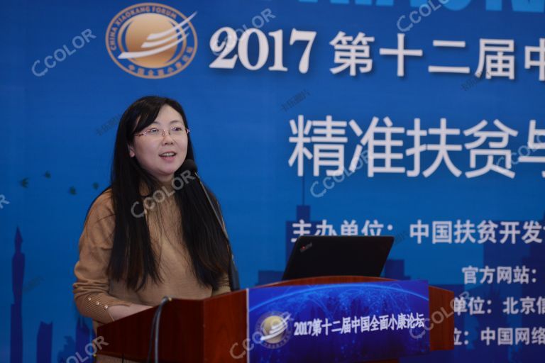 人物类：蔡嘉祺（时任北京信安盟科技有限公司总裁） 2017年中国全面小康论坛