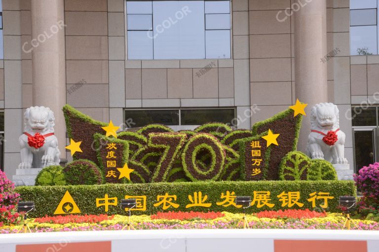 城市类：中国农业发展银行前的国庆70周年花坛