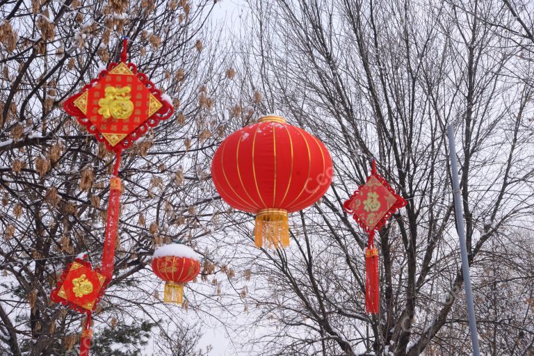 景物类：雪中的灯笼和福字中国结