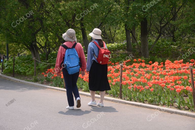 风光类：奥森公园生态廊道郁金香花和戴口罩的游客