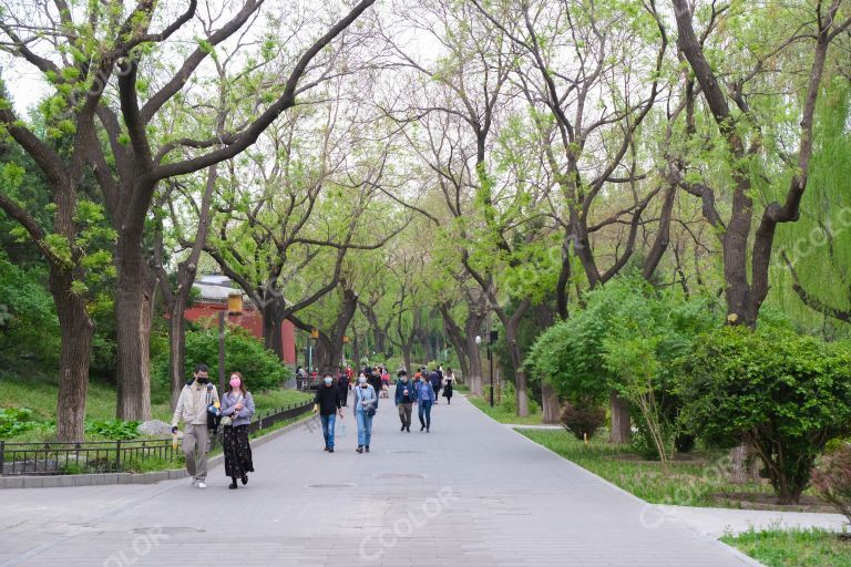 北京北海公园的场景