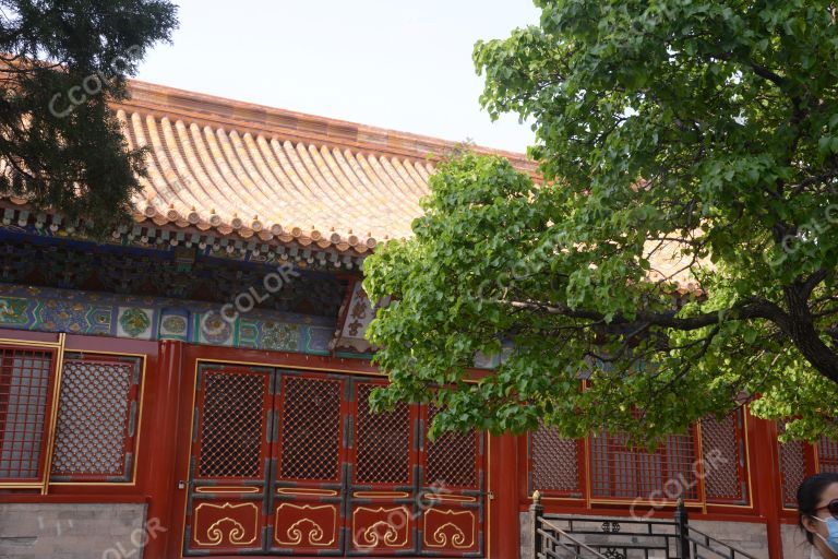 新闻类：疫情中复苏的北京，故宫博物院重新开放