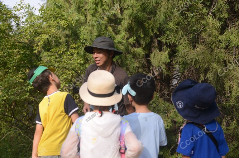 场景类：老师在森林公园教授孩子们植物知识