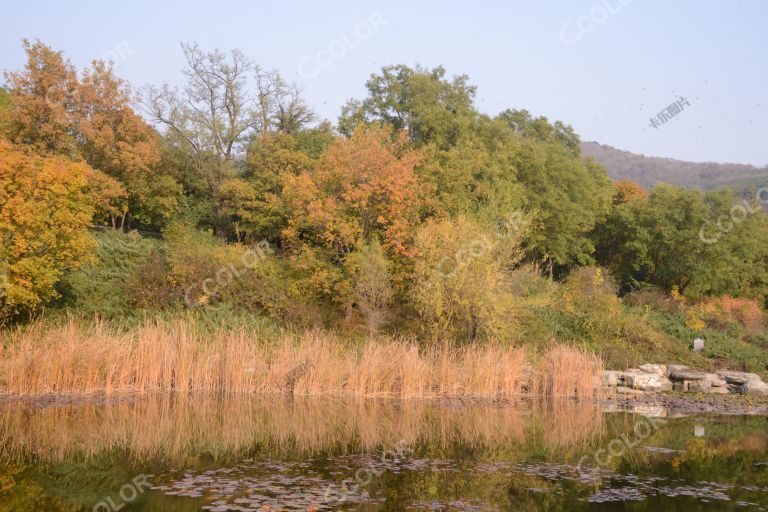 风光类：北京植物园的秋季，澄碧湖北湖（澄明湖）的远山，彩叶和羌族碉楼