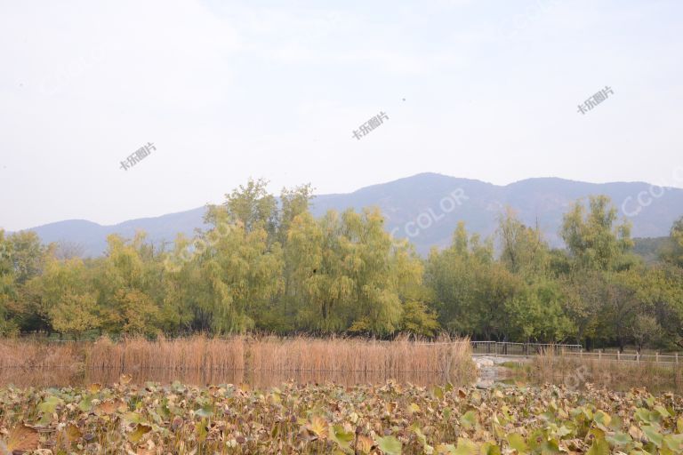 风光类：北京植物园的秋季，澄碧湖南湖的远山和彩叶