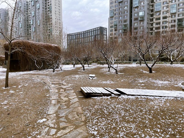 北京苹果社区雪景