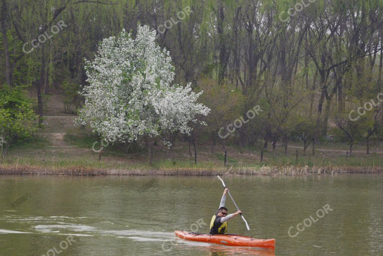 风光类：奥森公园的春天，奥海的春花和划独木舟者