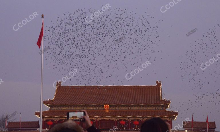 场景类：2022年元旦清晨，天安门广场举行升旗仪式
