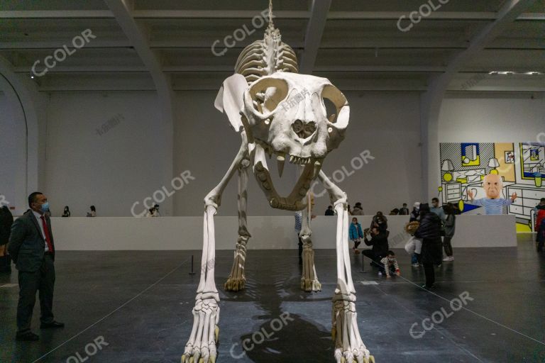 艺术展-最后的审判-恐龙骨架