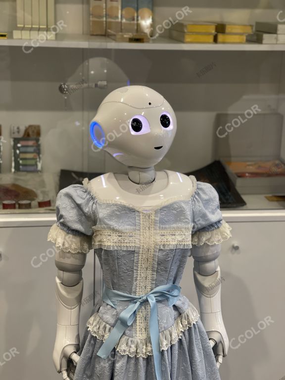 穿裙子的机器人