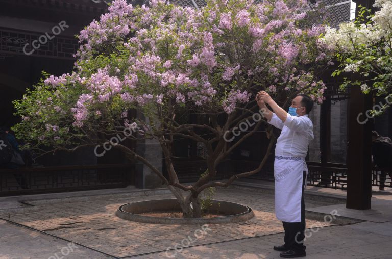 新冠疫情期，新奥广场赏花的厨师