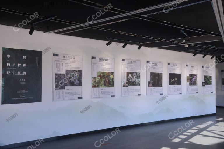 科普类：国家植物园科普馆，中国极小种群野生植物展