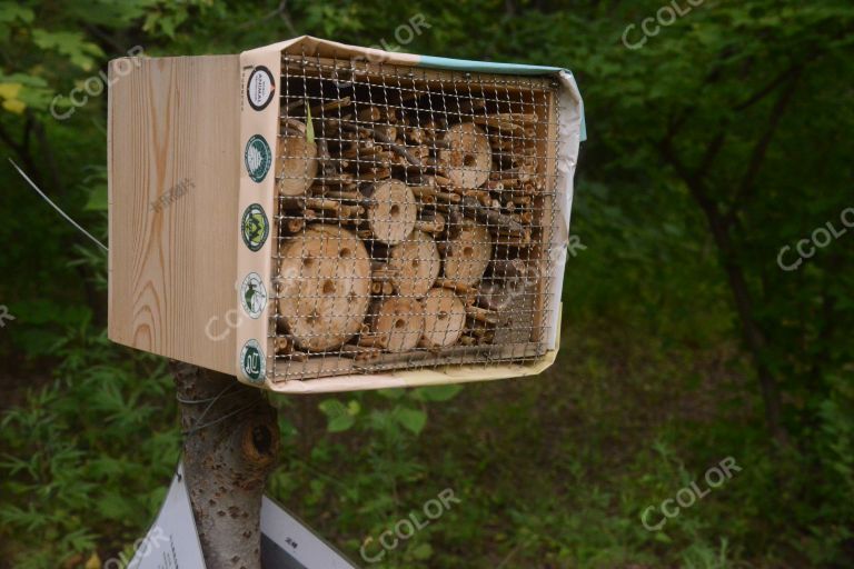 环境类：昆虫屋，人类搭建的昆虫之家