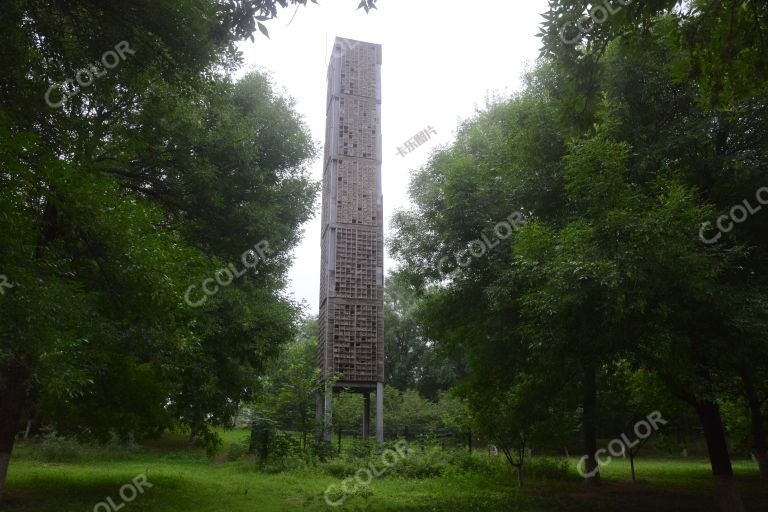 环境类：雨燕塔，频危物种雨燕的栖身之所