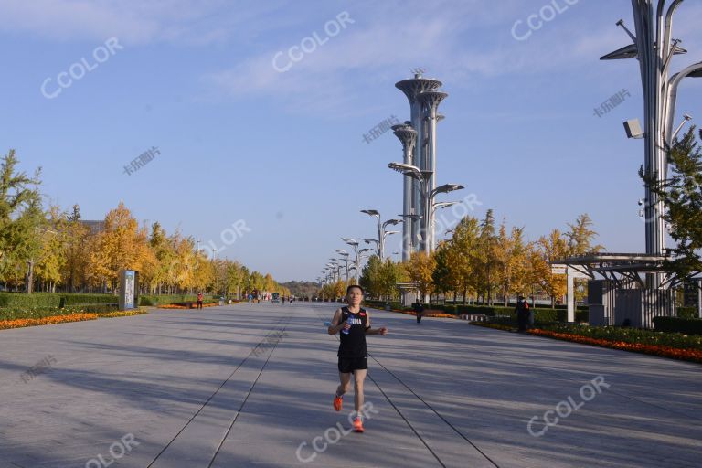 秋季风光，奥体公园观光大道跑步者