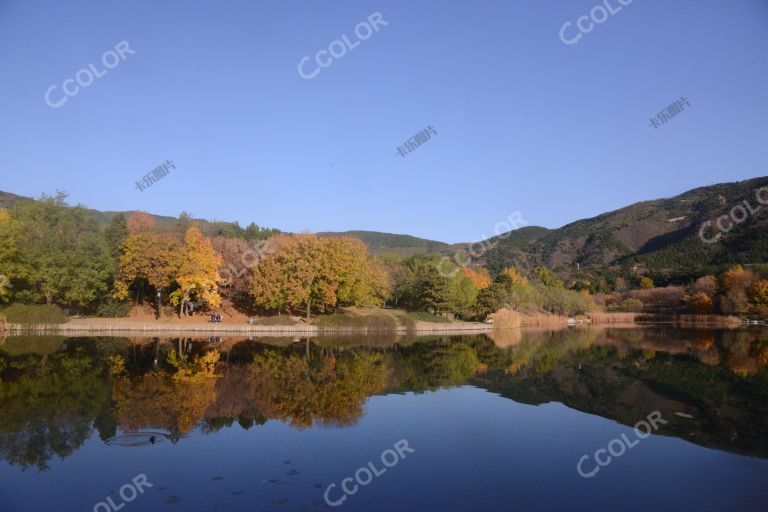 澄湖秋色，国家植物园秋季风光