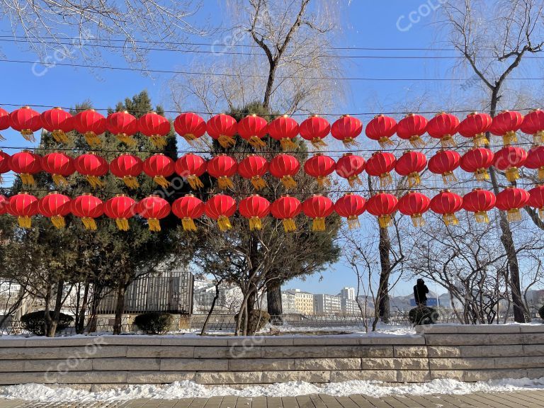 生活类：2023春节红灯笼装饰