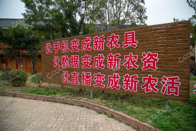 榕江县电子商务进村入户 新媒体手机数据变成新农具