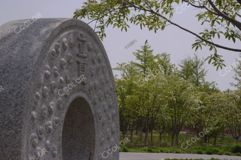立夏槐荫，城市副中心绿心公园的二十四节气文化雕塑