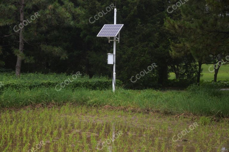 稻田边的太阳能电池，北坞公园