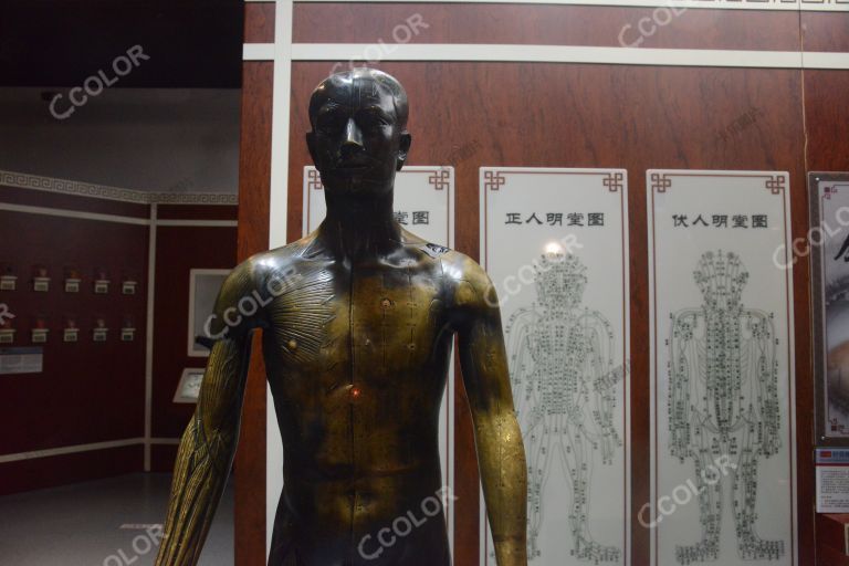 现代针灸铜人，中国科技馆