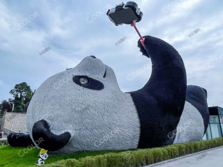 都江堰的大熊猫