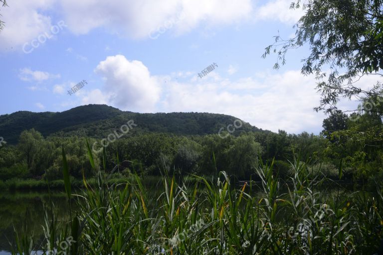 夏季风光，湖光山色