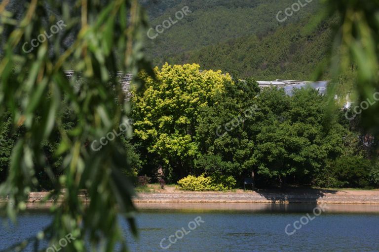 夏季风光，湖光山色