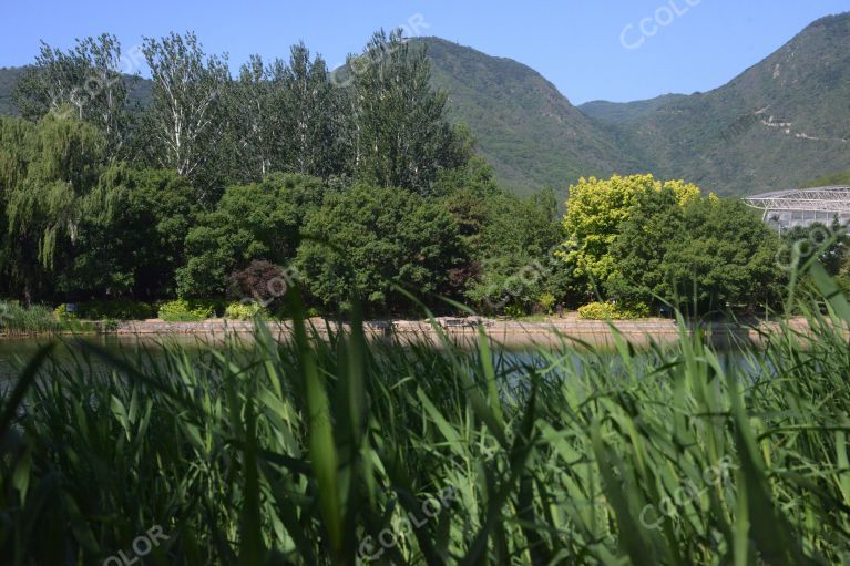 夏季风光，湖光山色