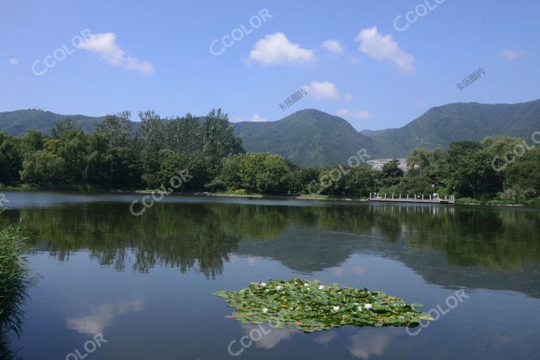 国家植物园夏季风光，湖光山色